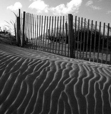 DuneShadows.jpg