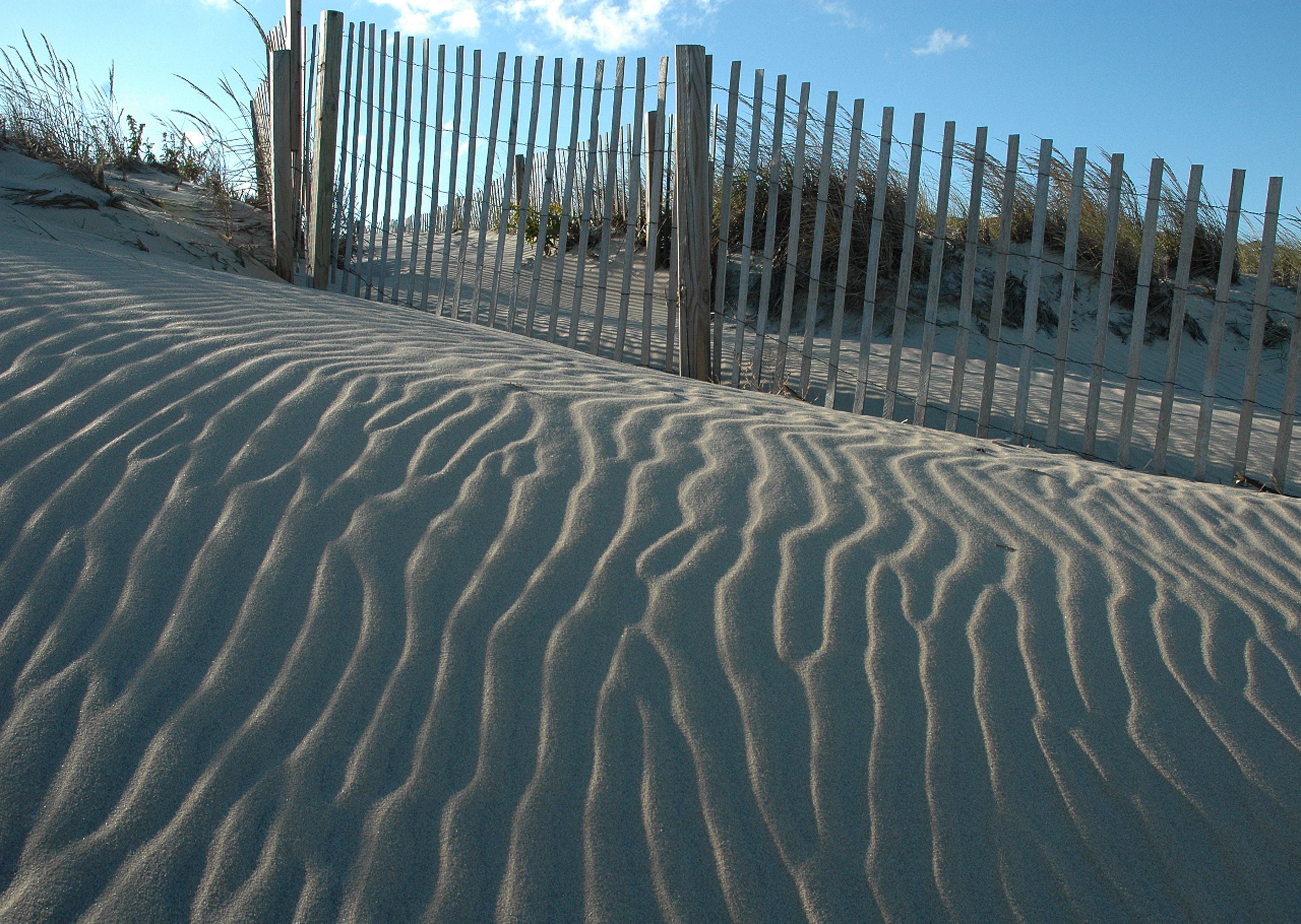 Duneshadows1.jpg